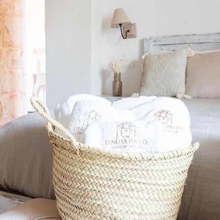 Tenuta Pinto Mola di Bari Exteriör bild